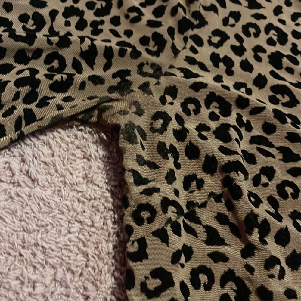 Astr The Label Leopard-Print Stretch Bodysuit | S… - image 4